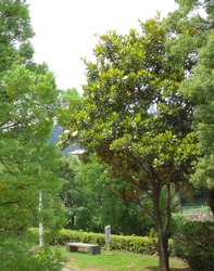 ڂ3.JPG