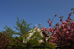 DSC_0079.JPG