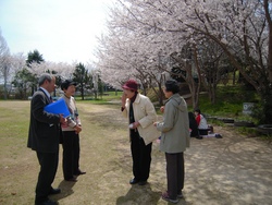sakuea-4 (2).jpg